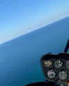 tohar.harosh Altpins Profile Picture