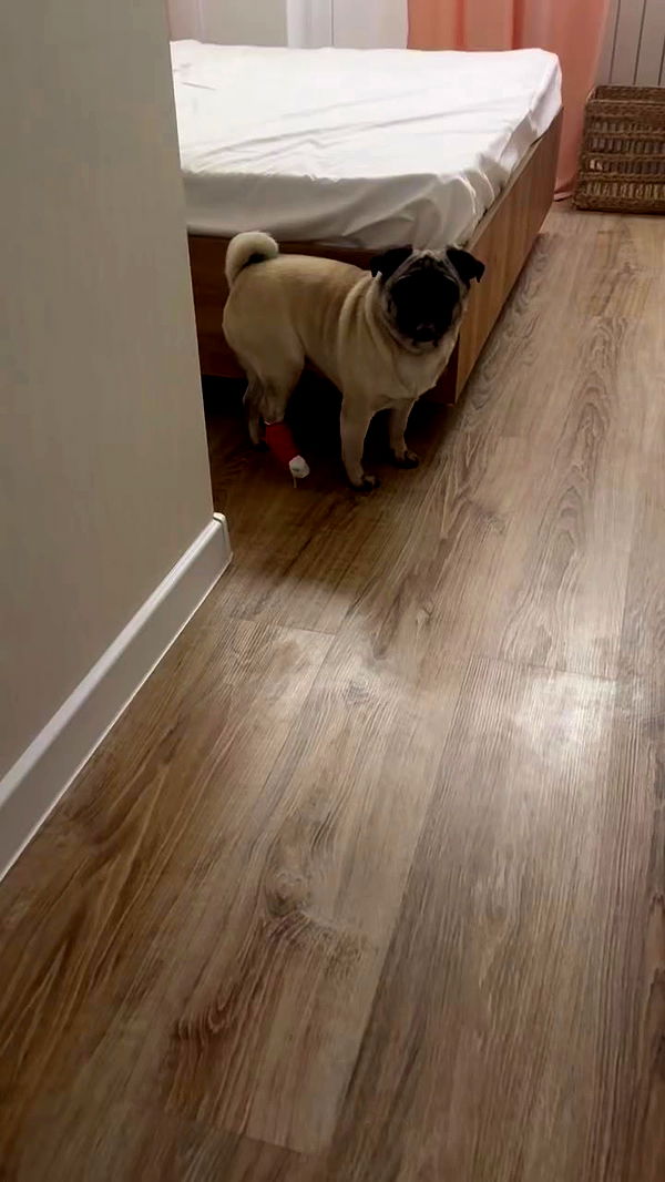 nyityam archive video preview