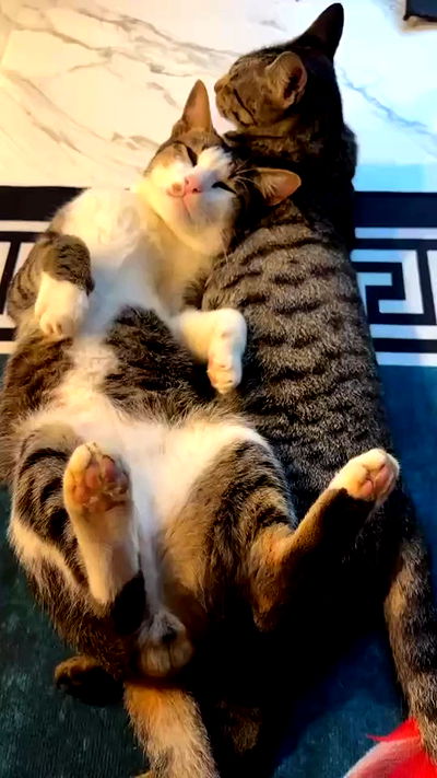 oqr0_ oqr0_ archive video