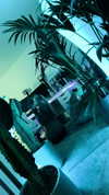 aleksandraverse Altpins Profile Picture