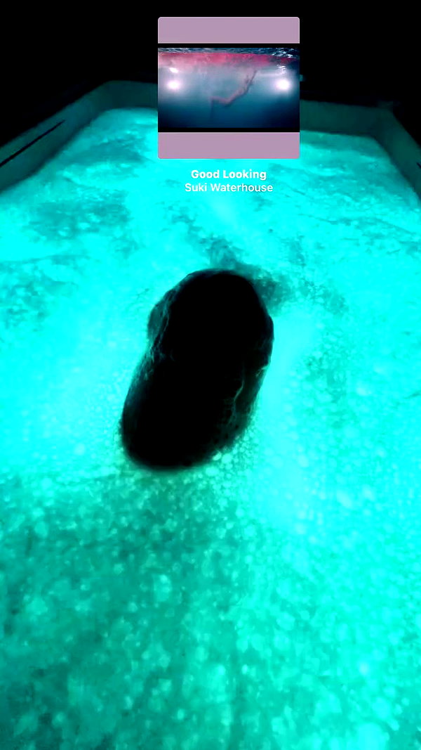 _laleonetti_ archive video preview