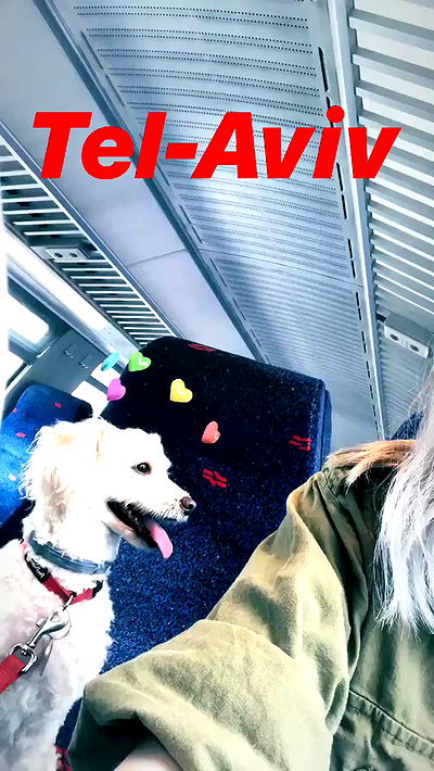 feelbetterinmysweater feelbetterinmysweater archive video