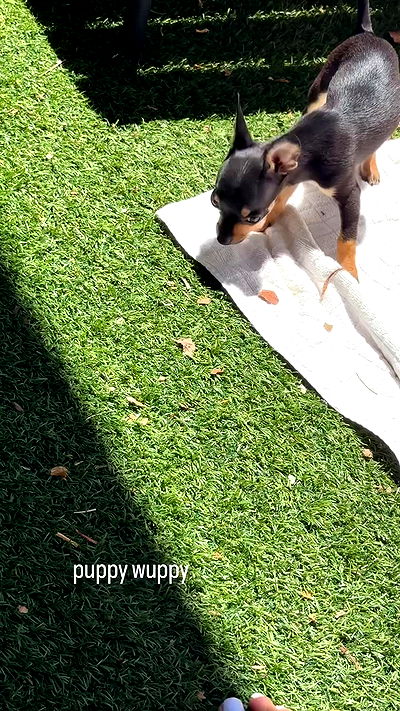 alexandramarianna alexandramarianna archive video