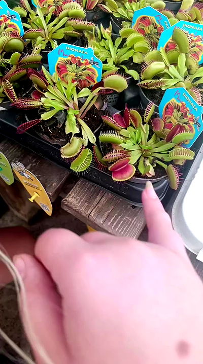 moonyyyya moonyyyya archive video