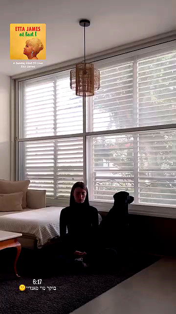 talweisswasser talweisswasser archive video