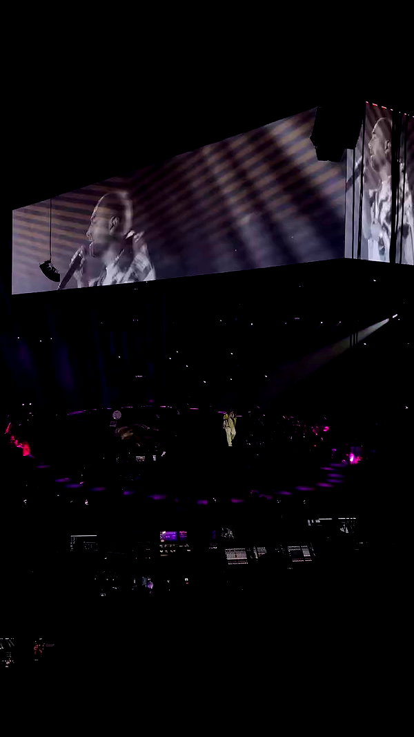 shirpeleg._ archive video preview