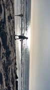 sydney_melman Altpins Profile Picture