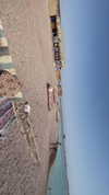 shirel.varol Altpins Profile Picture