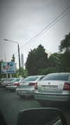 omer._shalom Altpins Profile Picture