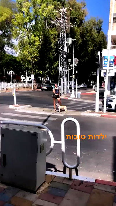 feelbetterinmysweater feelbetterinmysweater archive video