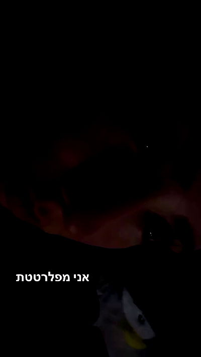 tuliprivet tuliprivet archive video