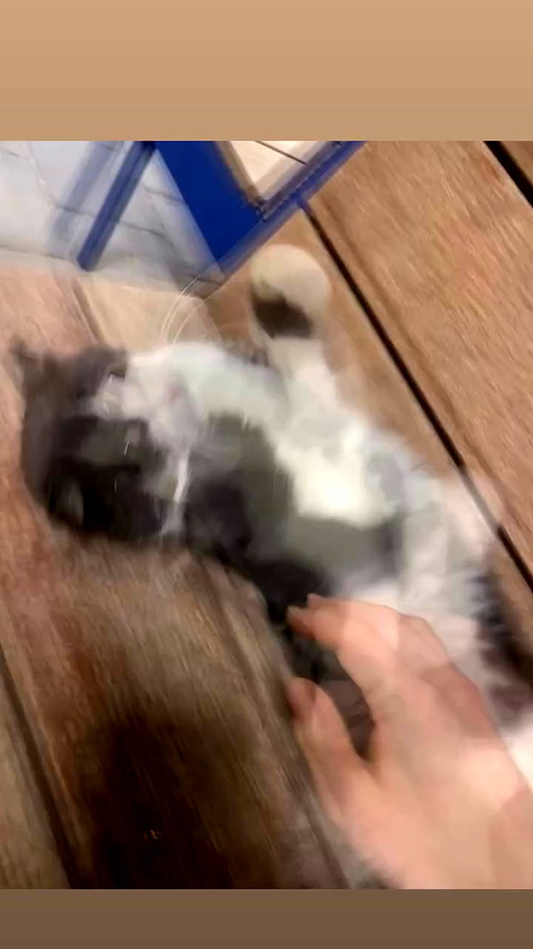 osher_yakir archive video preview