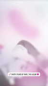 selenagomez Altpins Profile Picture