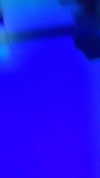omer._shalom Altpins Profile Picture