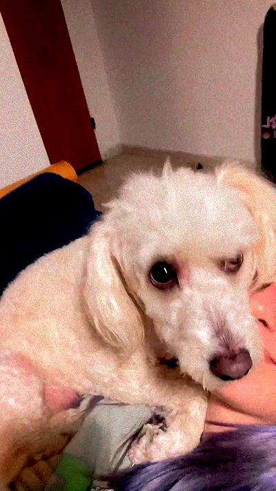 feelbetterinmysweater feelbetterinmysweater archive video