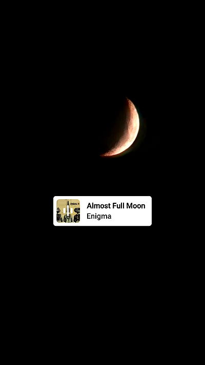 avital_1010.2003 avital_1010.2003 archive video