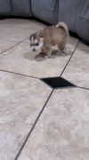jailyneojeda Altpins Profile Picture