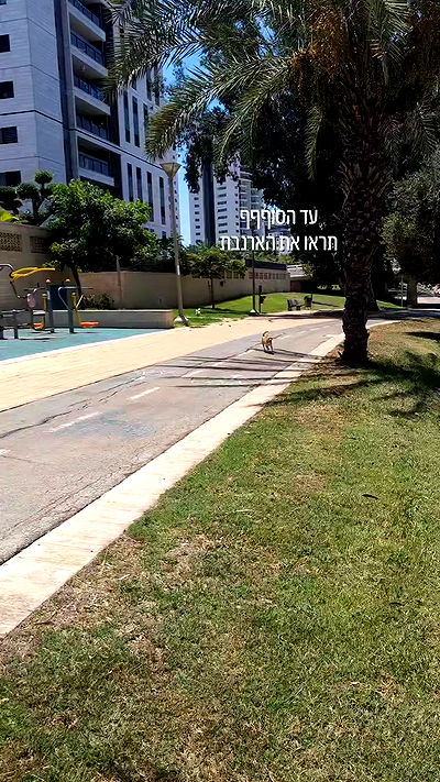 tinapavlov.sky tinapavlov.sky archive video