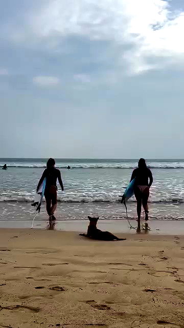 valeria_lukin valeria_lukin archive video