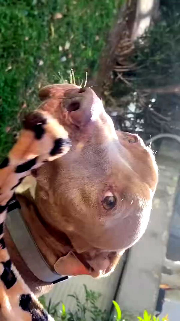 feelbetterinmysweater archive video preview