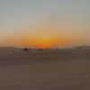 alexuhh_g Altpins Profile Picture