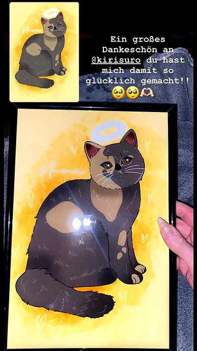 yoo.mon yoo.mon archive video