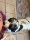 zoe.serena Altpins Profile Picture