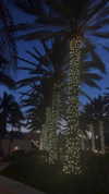 _dfoxx Altpins Profile Picture