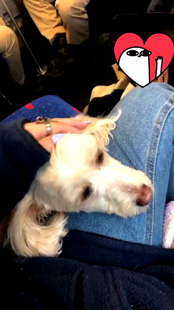 feelbetterinmysweater archive video preview