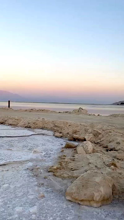 dustheadd dustheadd archive video