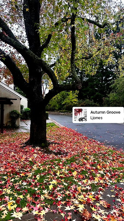 suikomuu suikomuu archive video