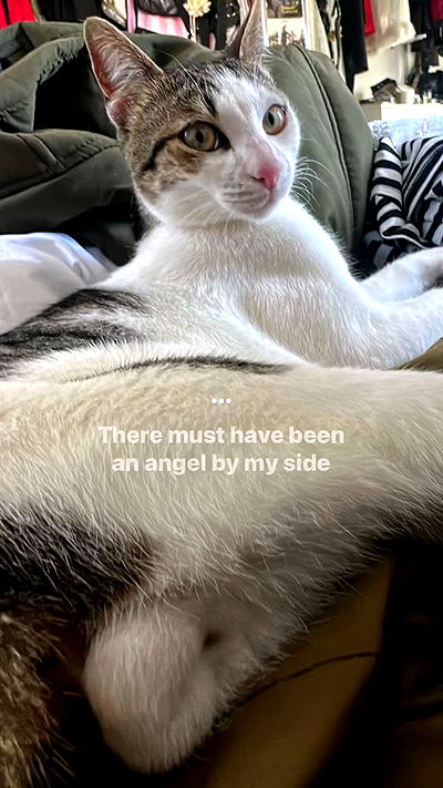 moonliliaght moonliliaght archive video