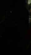 aleximarianna Altpins Profile Picture