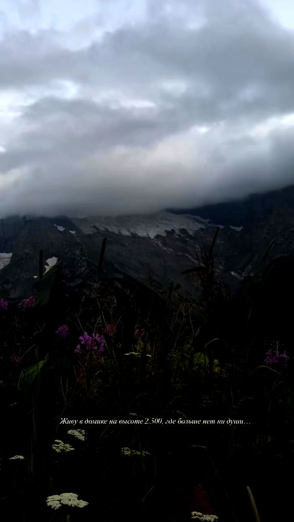 nyityam archive video preview