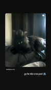 elliemvvnn Altpins Profile Picture