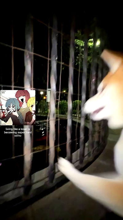 zommmbri zommmbri archive video