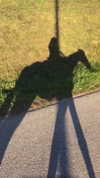 tooonytoony Altpins Profile Picture