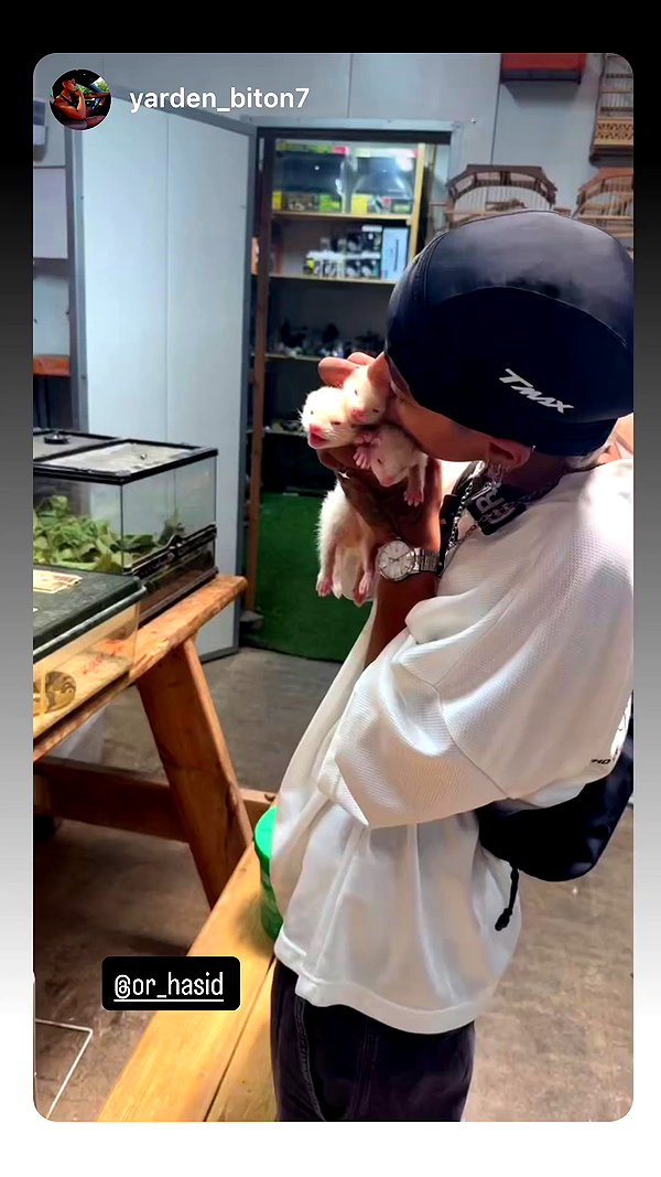 or_hasid archive video preview