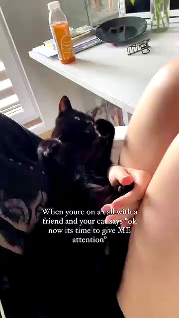 candy_balll archive video preview
