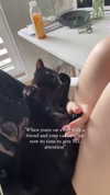candy_balll Altpins Profile Picture