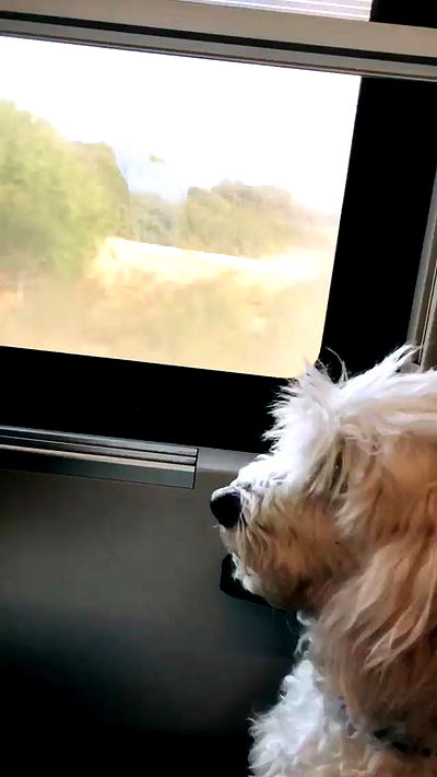 feelbetterinmysweater feelbetterinmysweater archive video