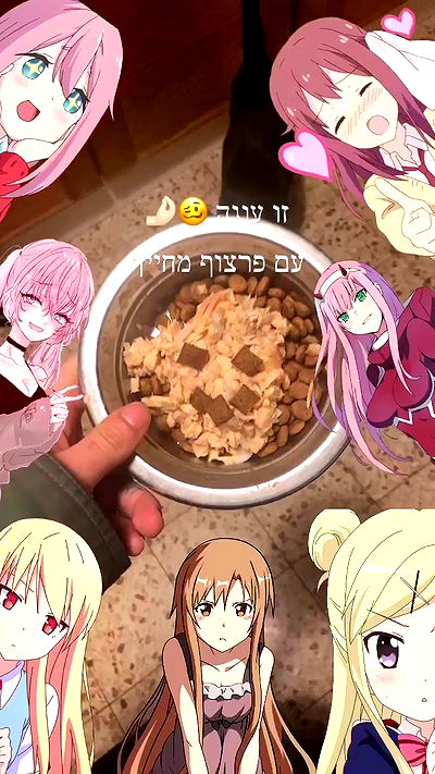 feelbetterinmysweater feelbetterinmysweater archive video