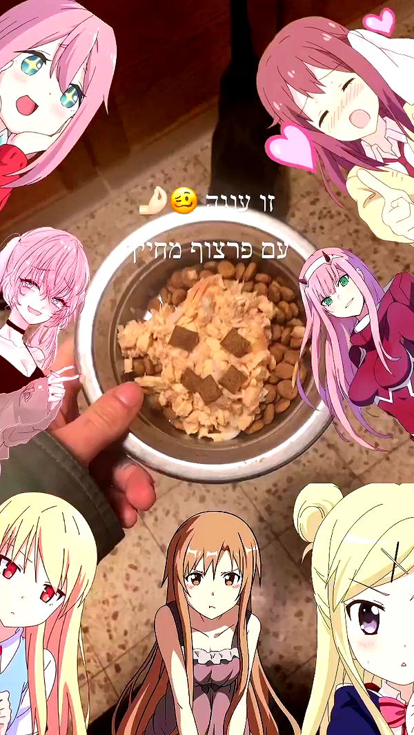 feelbetterinmysweater archive video preview