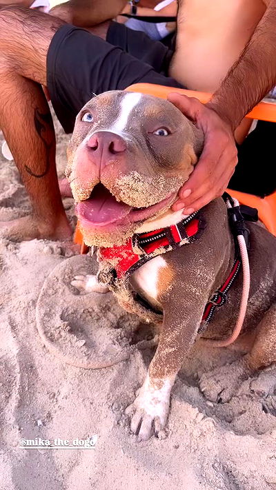 kesemgreenyer kesemgreenyer archive video