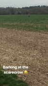 elena_stain Altpins Profile Picture