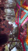 _lironatias Altpins Profile Picture