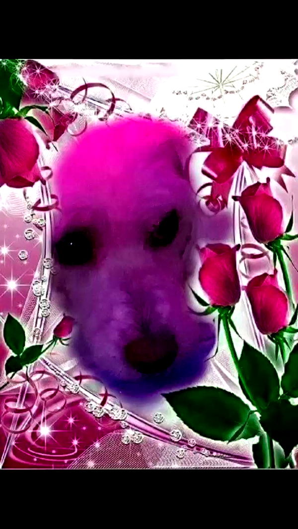 feelbetterinmysweater archive video preview