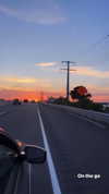 skydavisson_ Altpins Profile Picture