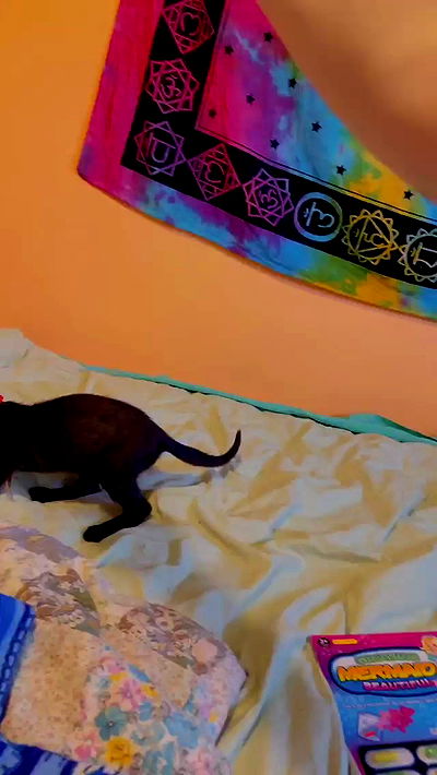 feelbetterinmysweater feelbetterinmysweater archive video