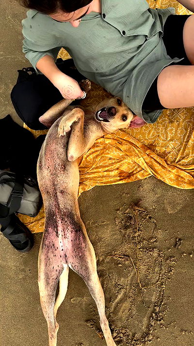 ronyida_ ronyida_ archive video